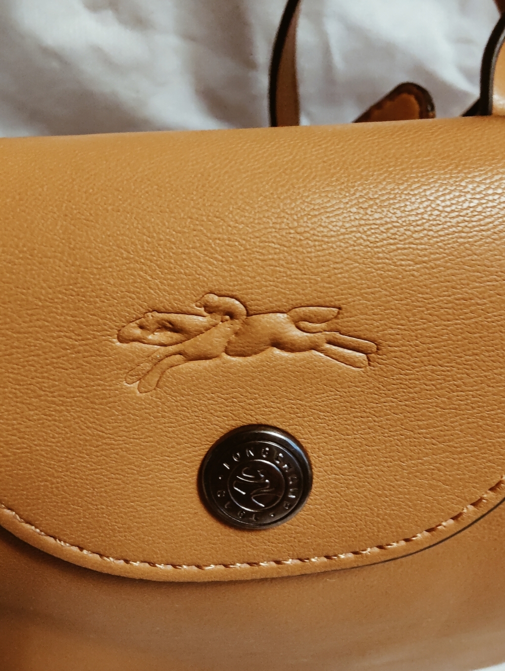 New 🆕 Longchamp LE PLIAGE XTRA XS HANDBAG In Cashew Leather - Picture 5 of 11